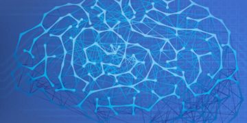 10 Greatest Automation Corporations to Enhance Effectivity